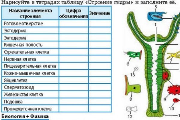 Прямая ссылка на кракен