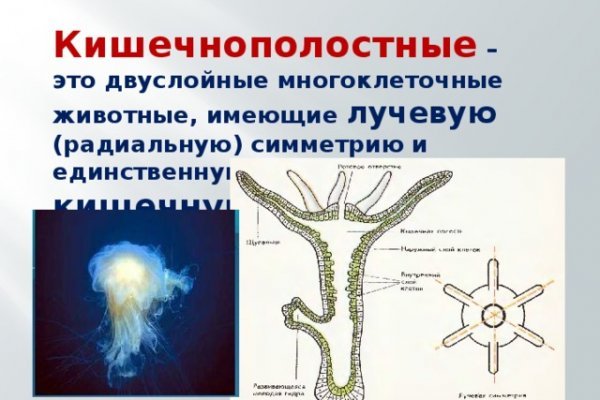 Кракен сайт работает