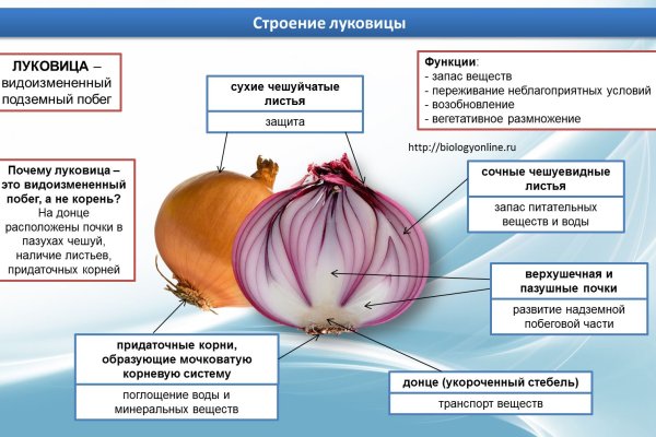 Вход в кракен даркнет