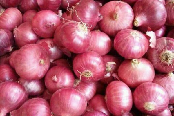 Kraken ссылка onion 2kmp