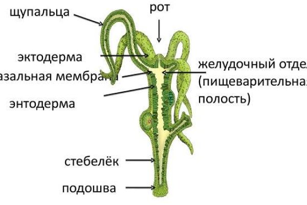 Не работает сайт kraken
