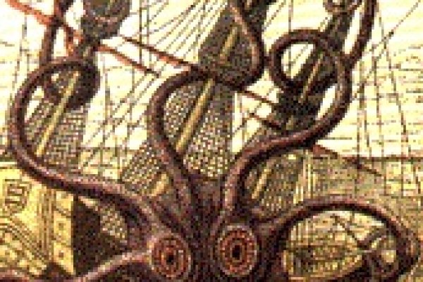 Kraken19at