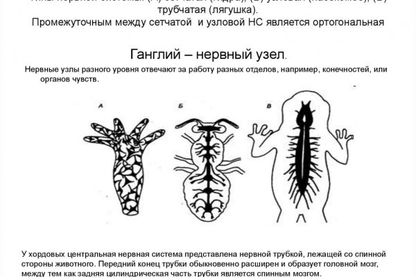 Как восстановить кракен